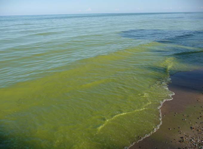 Farmers to get more money to reduce algae in Lake Erie | wkyc.com