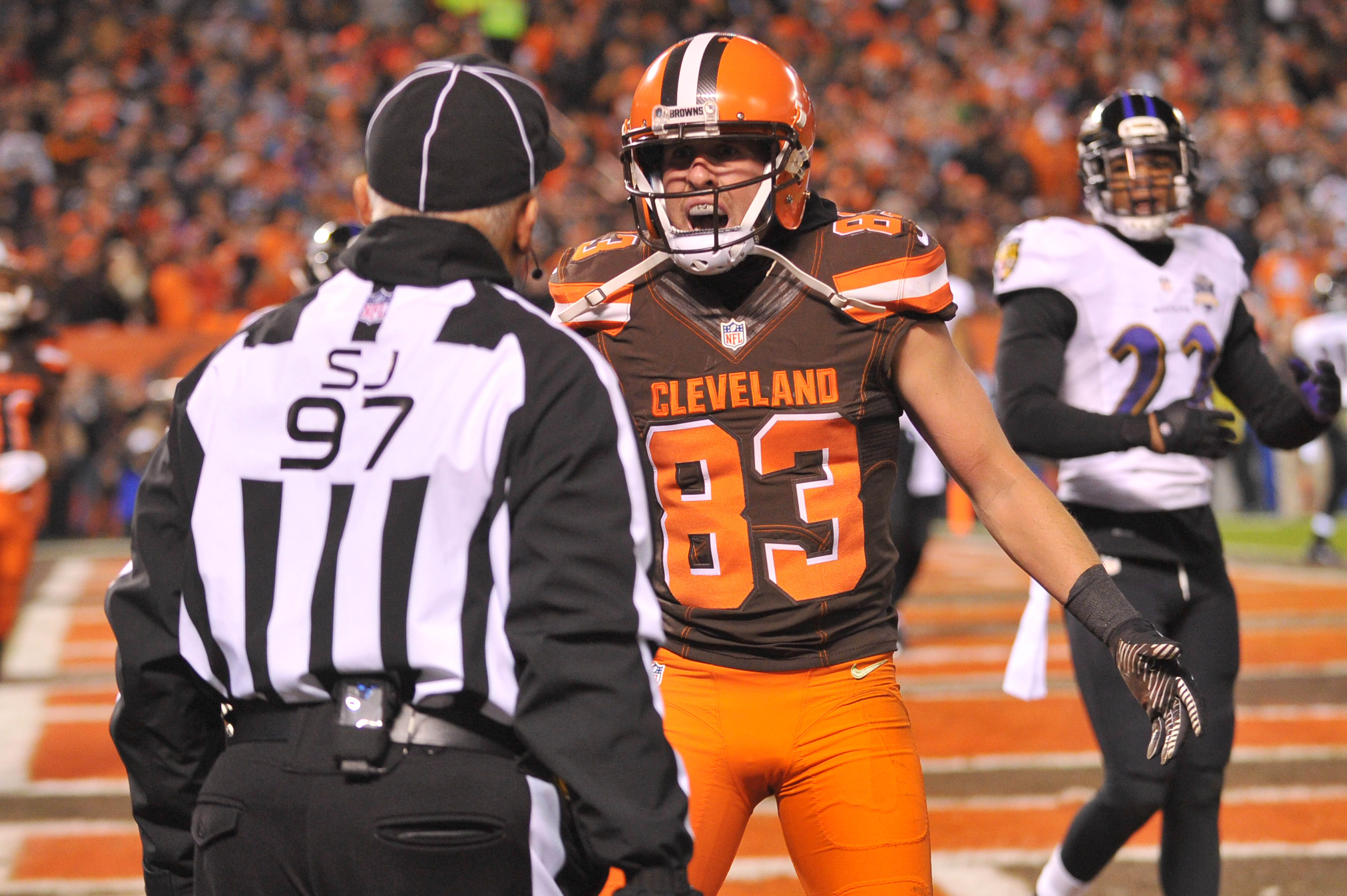 GlenOak grad Brian Hartline shines in loss to Browns