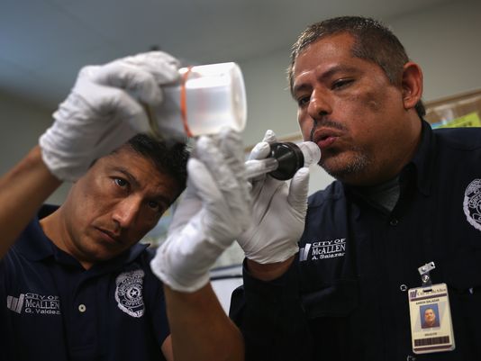 Local officials prepare to meet threat of Zika virus