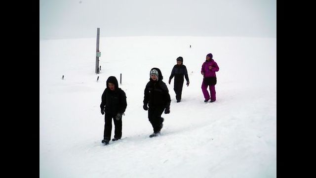 Ice melt forces polar bears into paths of Alaska schoolchildren - WKYC-TV