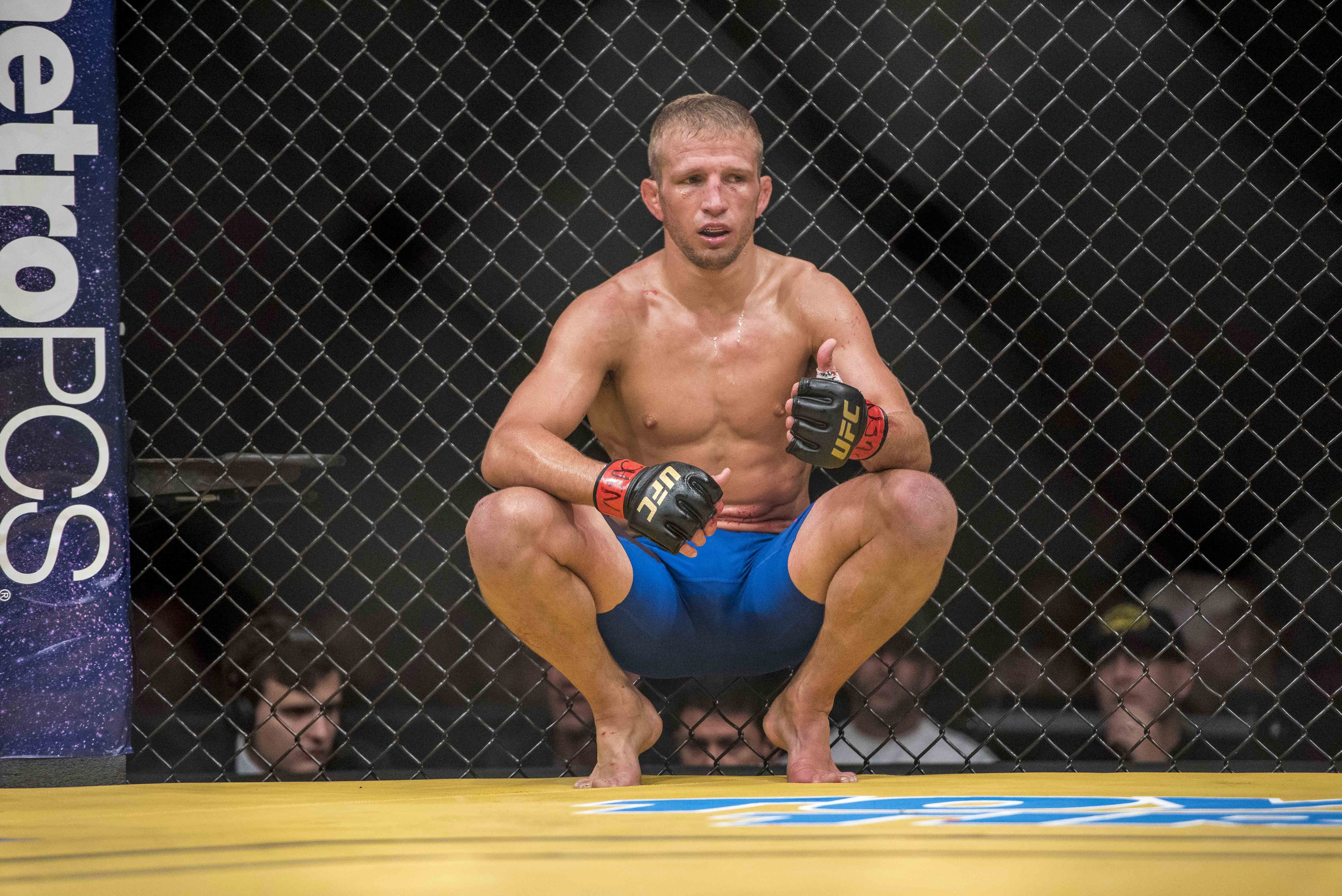 T.J. Dillashaw dominates John Lineker on way to unanimous-decision win