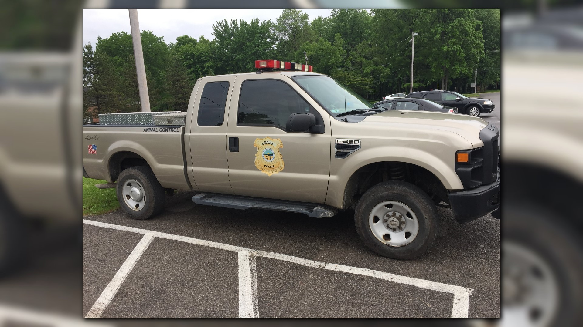 North Ridgeville animal control officer fired for killing bunnies