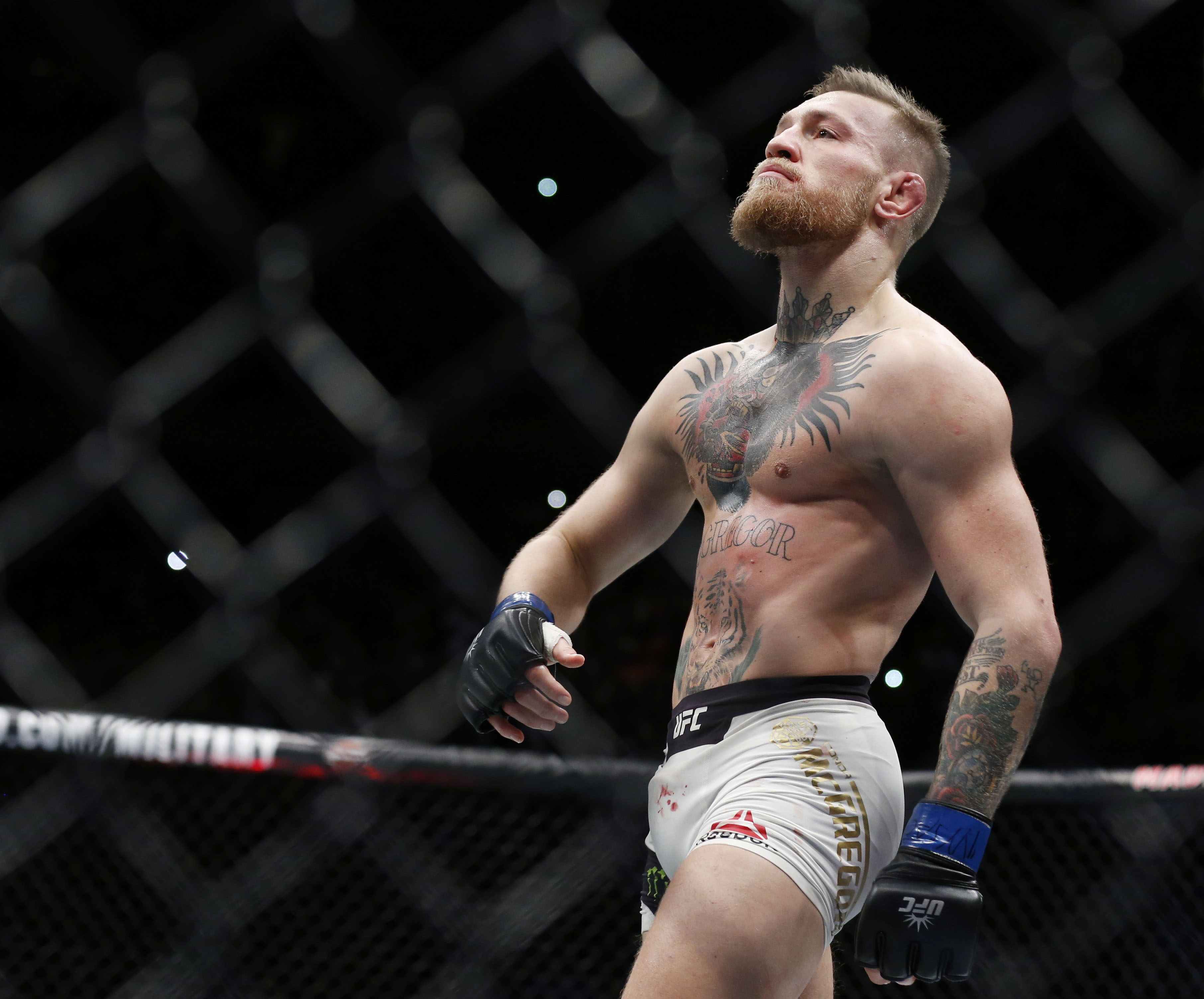 Conor McGregor, current UFC Lightweight Champion, watches the