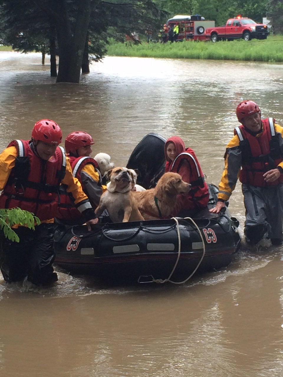 Photos: Dogs, staff rescued from flooded Geauga Co. kennel | wkyc.com